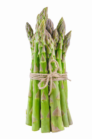 Bunch of raw green asparagus Isolated on white background. Edible sprouts of sparrowgrass, stems tied with twine. Healthy food, fresh vegetable, ingredient for cookingの写真素材