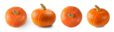 Set of fresh ripe orange pumpkin from different angles and positions isolated on white background....