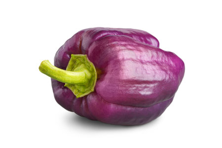 Fresh raw paprika, purple sweet bell pepper with green stem isolated on white background, close up. Healthy vegetable, food ingredientの写真素材