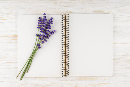 Small bouquet of fresh blooming lavender lies on blank spiral paper notebook, notepad on white wooden background. Mockup, template with copy space, top view, flat layの写真素材