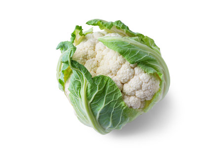 Whole head of fresh raw cauliflower with green leaves close up, macro isolated on white background. Food ingredient, agriculture, uncooked vegetable.の写真素材