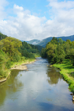 Beautiful river meandering through lush green forest in the Carpathian Mountains under a cloudy blue sky. Ideal for travel and nature photography showcasing pristine environments.の写真素材