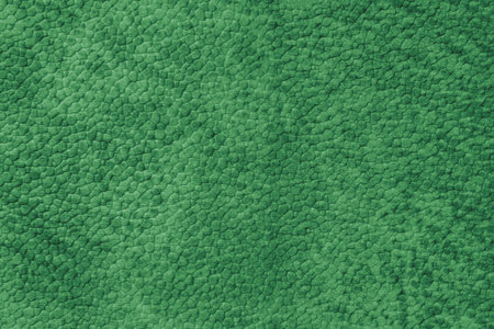 Detailed close up, macro of green synthetic suede leather texture, faux leather, leatherette. Background for design, fashion, upholstery material visuals. Natural grain structure, soft look.の写真素材