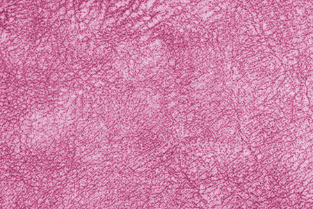 Close up, macro of pink fabric texture with fine woven fibers and soft textile, cloth structure. Abstract messy background, textile design, upholstery mockup with copy spaceの写真素材