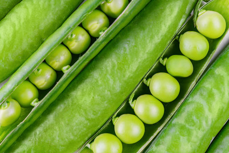 Abstract macro food background of organic green pea pods opened to reveal plump peas inside. Closeup smooth texture, freshness, and natural beauty of this garden vegetable. Wallpaper, backdropの写真素材