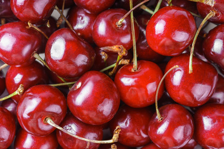 Vibrant closeup, macro of organic fresh ripe sweet cherries with stems, arranged in a natural pile....