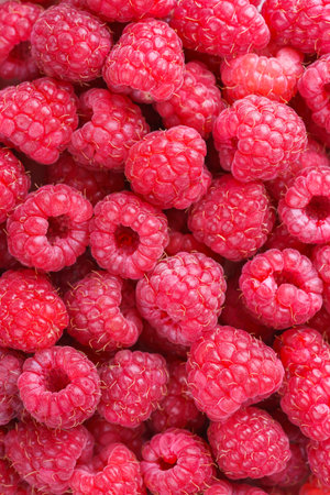 Macro, close up photo of red ripe fresh raspberries with juicy texture and bright color. Food...