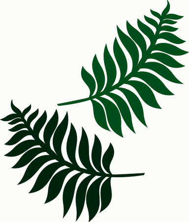 fern leaf illustration backgroundのイラスト素材