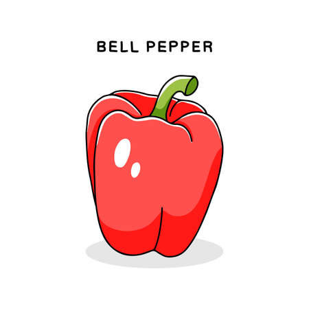Hand drawn sweet bell pepper red color icon. Vector illustration isolated on white background in doodle styleのイラスト素材