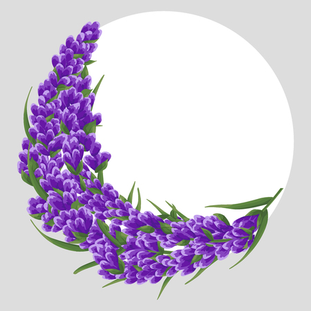 background of purple lavender flowers, watercolor flowers style. elegant flowers. vector illustration.
round text background framed with lavender flowers card template, invitations, banner, business cards.のイラスト素材