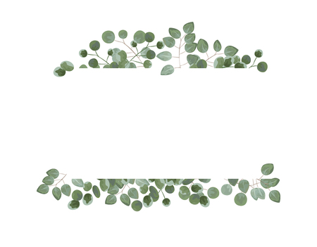 background for text from eucalyptus. gray and green eucalyptus.invitation, postcard with eucalyptus. rustic style, Botanical style. burp with greens. vector illustrationのイラスト素材