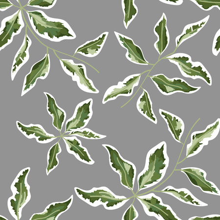 background for text from eucalyptus. gray and green eucalyptus.invitation, postcard with eucalyptus. rustic style, Botanical style. burp with greens. vector illustrationのイラスト素材