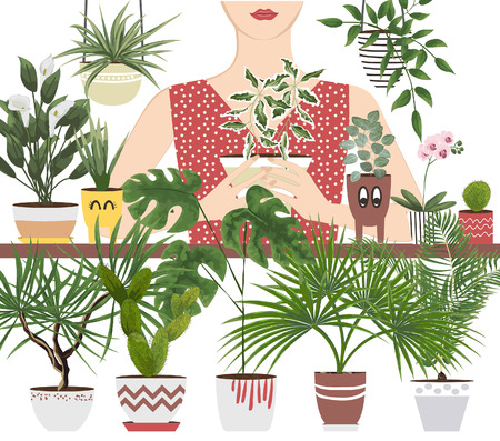 isolated objects indoor plants and flowers in different pots and planters. vector illustration in watercolor style.のイラスト素材