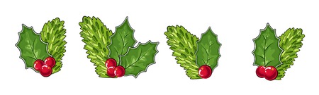 cones, leaves and cranberries, isolated objects. Vector illustration. Traditional Christmas decoration in flat design. vector illustrationのイラスト素材