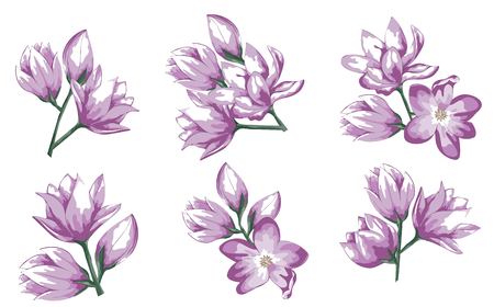 Set of Hand drawn watercolor illustration Red Apple Flowers. Vector, Isolated on white background. Element for design of invitations, movie posters, fabrics and other objects.のイラスト素材