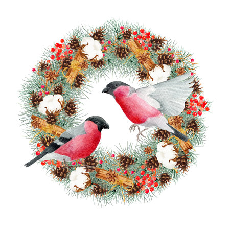 Christmas wreath with bullfinches isolated on white background. Clipart. Watercolor hand drawn art illustration. For cards, handmade textiles, prints, menus, poster.の写真素材