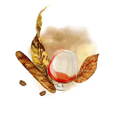 cigars and alcohol with tobacco leaves, coffee beans. drawn in watercolors, for cardsの写真素材