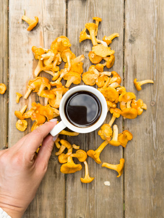 hand holds a white cup of coffee, tea around a lot of forest mushrooms on the background of old wooden boards. for decoration, travel, eco tripsの写真素材
