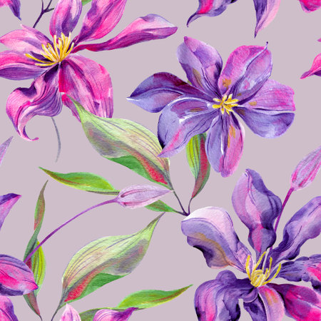 Clematis flowers and buds, leaves multicolored, graceful. Seamless pattern on a lilac pastelの写真素材
