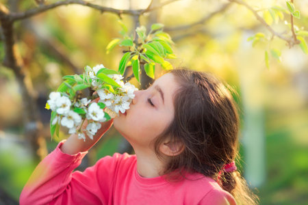 Beautiful little girl with blooming apple flowers. Happy cute kid having fun outdoors at sunset.