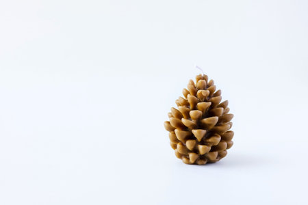Brown Christmas pine candle cone on a gray background