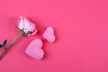 Happy Valentines Day, Mothers Day and birthday greeting card. Pink rose and knitted pink hearts on a pink backgroundの写真素材