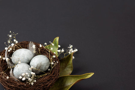 Brown nest of twigs with three gray Easter eggs, feathers, dried magnolia leaves and sprigs of...