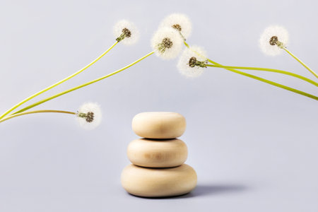 Wood stones podium and soft fluffy dandelions with white seeds. Concept scene stage showcase for new product, banner, promotion sale, cosmetic, presentationの写真素材