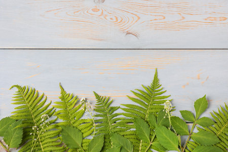 Green leaves fern and dahlias on a blue wooden background. Creative layout made of leaves with place for your text . Flat lay. Nature conceptの写真素材