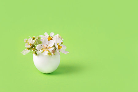 One white egg in a stand with spring pear and strawberry flowers on a green background. Happy Easterの写真素材