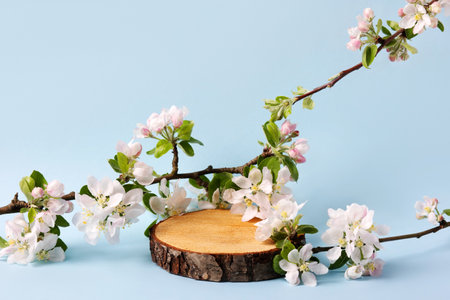 Wood slice podium and and blossoming branches of apple tree on blue background. Concept scene stage showcase for new product, banner, promotion sale, cosmetic, presentationの写真素材