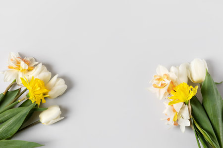 Spring composition on gray background of flowers of white tulips and yellow daffodils with place for text. Happy Mothers Day greeting card, happy Valentines Day, 8 March, happy birthdayの写真素材