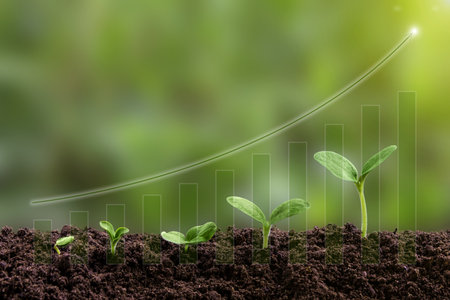 Young green seedling are growing from the rich soil in sunlight. Business growth, success, development and profit. Ecology and business concept. Plant growth evolution from seed to sapling.の写真素材
