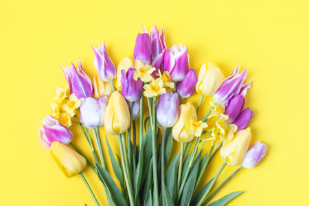 Spring flower of purple and yellow tulips and yellow daffodils on a yellow background. Flat lay, copy spaceの写真素材
