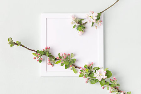 Fresh branches of apple white and pink blossoms and white empty frame on gray table. Mockup for...