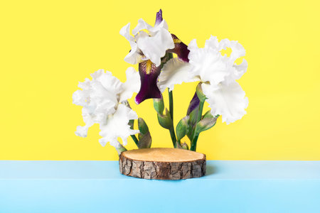 Wood stones and white iris flowers on blue table. Concept scene stage showcase for new product,...