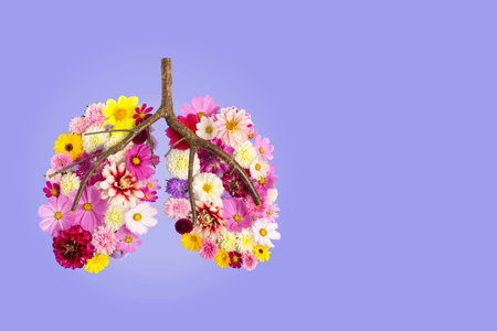 Multicolored floral arrangement in shape of human lungs on purple background. Concept of fresh air,...