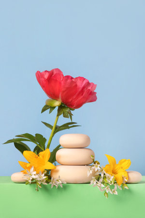 Concept scene stage showcase for new product, banner, promotion sale, cosmetic, presentation. Wood slice podium and yellow lily flowers and ornithogalum flowers on green background.の写真素材