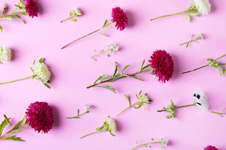 Pink background of flowers asters. Floral Greeting card. Nature trendy decorative design. Flat lay.