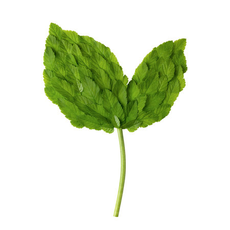 Mockup of green seedling is made of green leaf isolated on white background. Ecology concept. Earth...