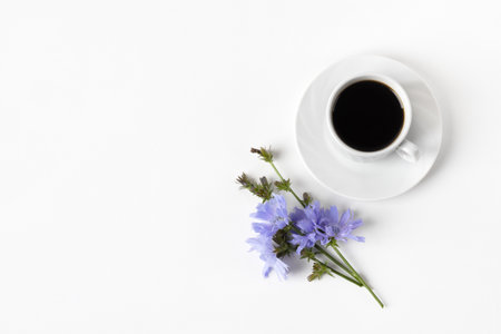 White cup with chicory drink and blue chicory flowers on gray background.の写真素材