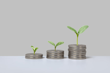 Silver coins in form of graphical steps up and young green seedling are growing of business growth process, start-up, business goals management, sustainable financial plan.の写真素材