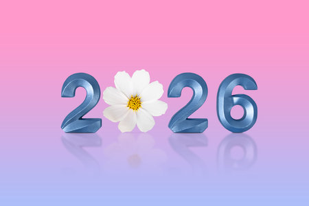 Blue numbers 2026 New Year and white cosmea flower on pink blue gradient background. Simple and...