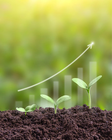 Young green seedling are growing from the rich soil in sunlight. Business growth, success,...