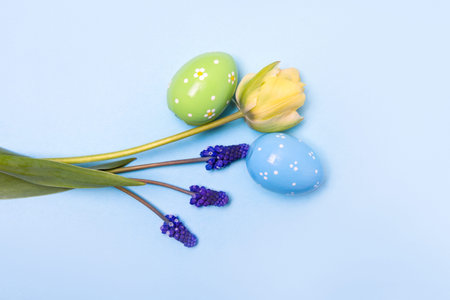 Easter colored painted eggs and blue muscari and yellow tulips on blue background with space for...