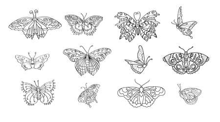 Set of outline vector butterflies - black line isolated on white background. Collection of illustrated butterflies.のイラスト素材