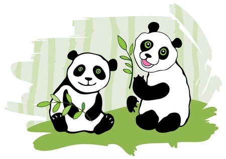 Two pandas  Bamboo in background  のイラスト素材