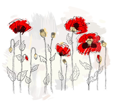 Red poppies on white backgroundのイラスト素材