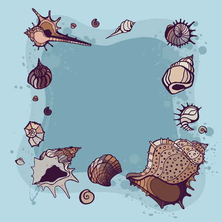 Frame of seashells  Summer background  Vector illustration のイラスト素材