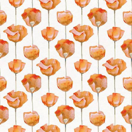 Red poppies on white background. Seamless watercolor patternの写真素材